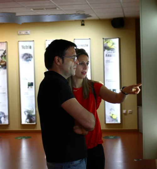 03-INTERACTIVOS-FLORA-Y-FAUNA