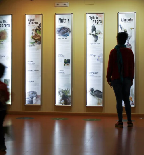 05-SONIDOS-Y-HUELLAS