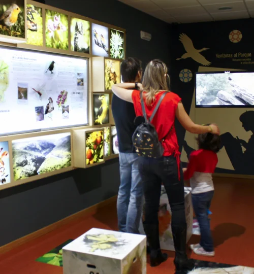 06-VENTANAS-AL-PARQUE