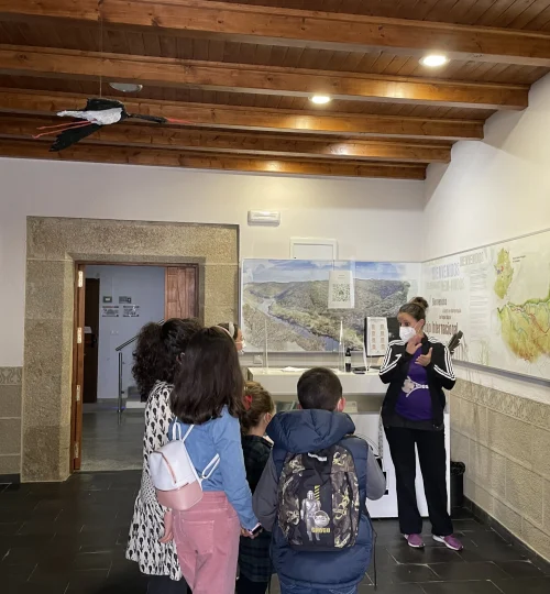 Actividad con colegios