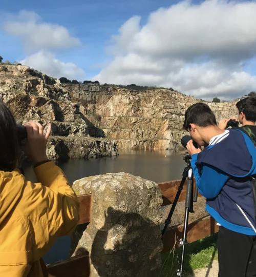 Actividad de Birding