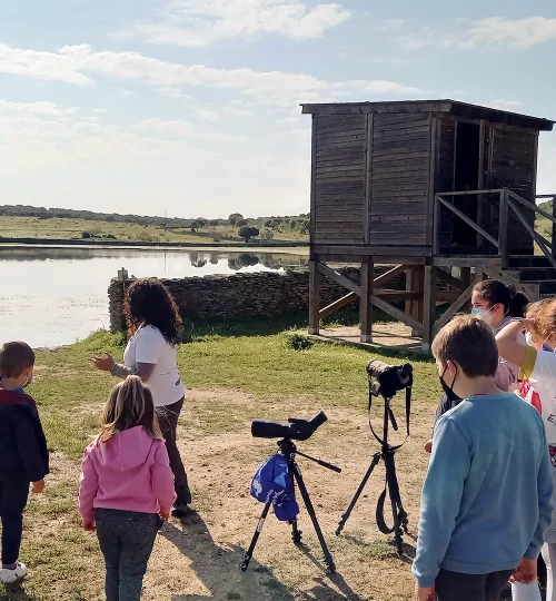 Visita con niños a un Mirador de Aves